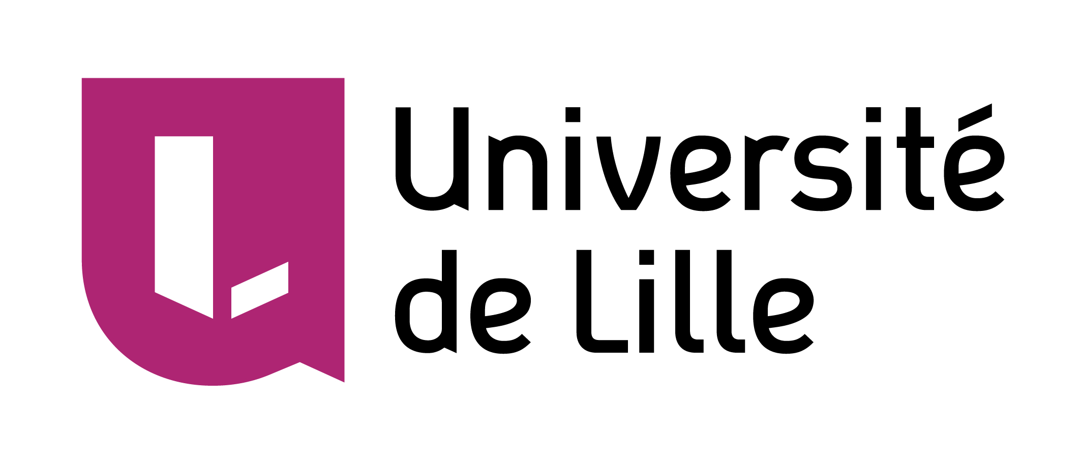 Université de Lille 
Master Mathématiques et Applications