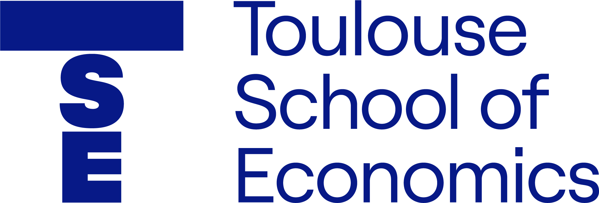 Ecole d’Economie de Toulouse
Université Toulouse 1 Capitole – Masters en Mathématiques Appliquées